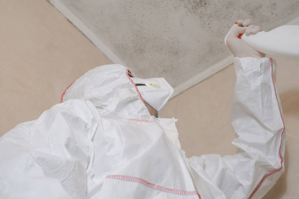 Best Mold Testing and Inspection Services in Rose Hill, NC